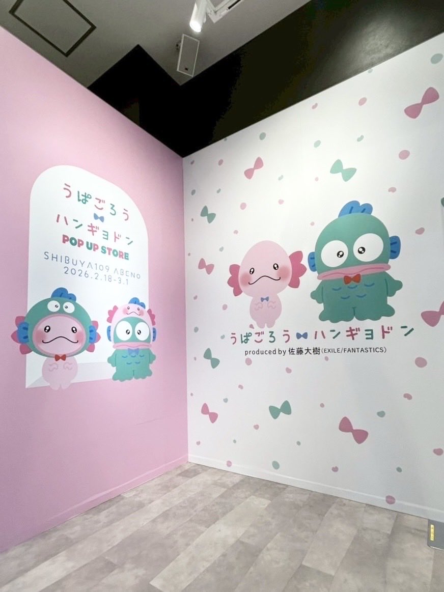 うぱごろう×ハンギョドン 佐藤大樹 TAIKI ブランケット 🩷うぱごろう × ハンギョドン🩵 僕のプロデュースするキャラクター