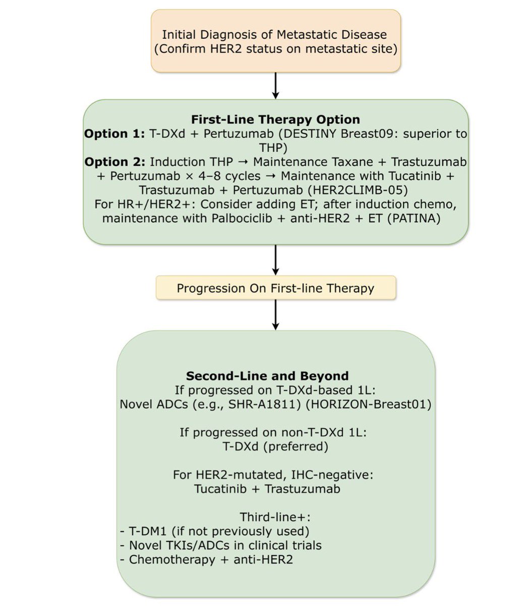 ISMAILIN1978's tweet photo. Metastatic HER2+ breast cancer: A new treatment sequence for 2025.
1L: T-DXd + Pertuzumab sets a new PFS benchmark (~40 months!) (DESTINY-Breast09).
Maintenance: Add Tucatinib post-induction (HER2CLIMB-05). https://t.co/3mLXfZCrFE https://t.co/S8alWSOcju