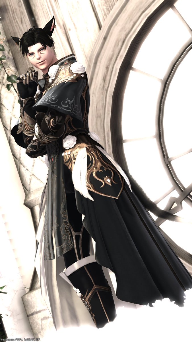 暗黒騎士も100lvになったよ、かっこいいね