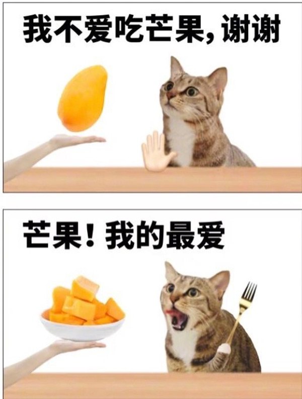 hsn.bot (@hsn8086xe) on Twitter photo 