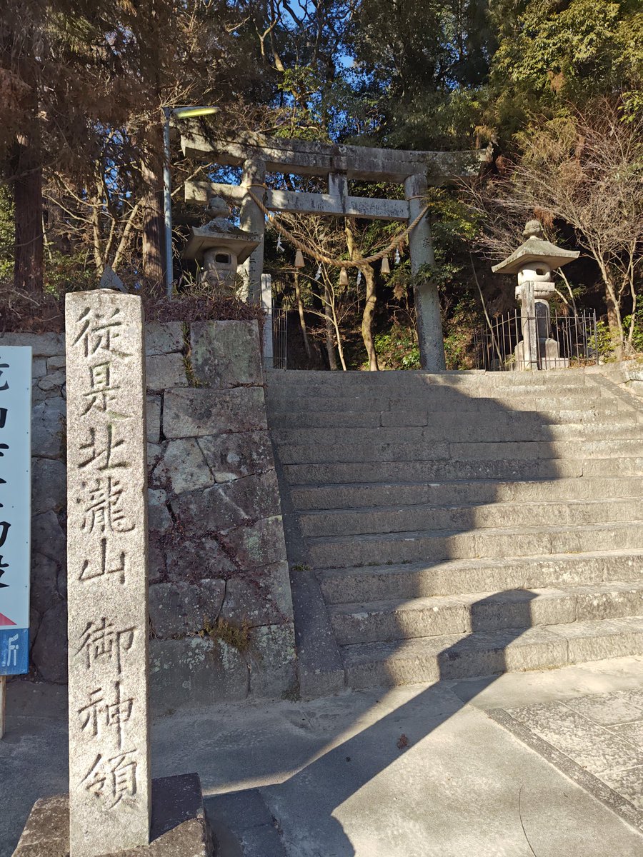 今日はここから