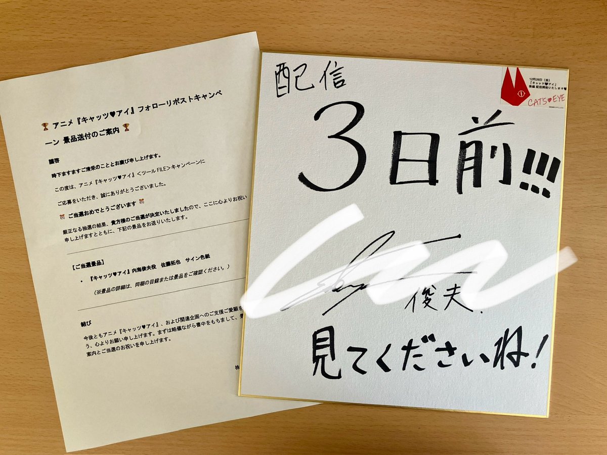 この度ご縁がありまして『怪盗キャッツアイ』ツールFILEキャンペーンで