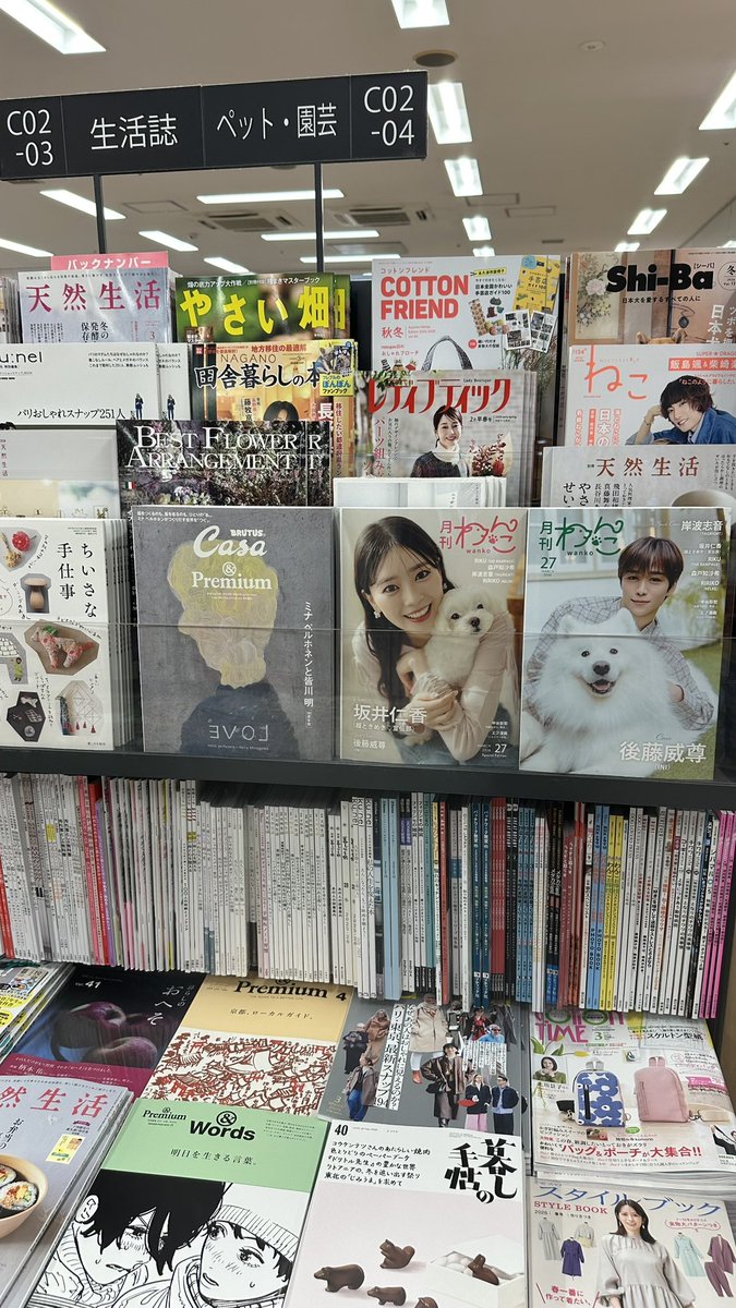 月刊わんこ編集部 (@gekkan_wanko) / Posts / X