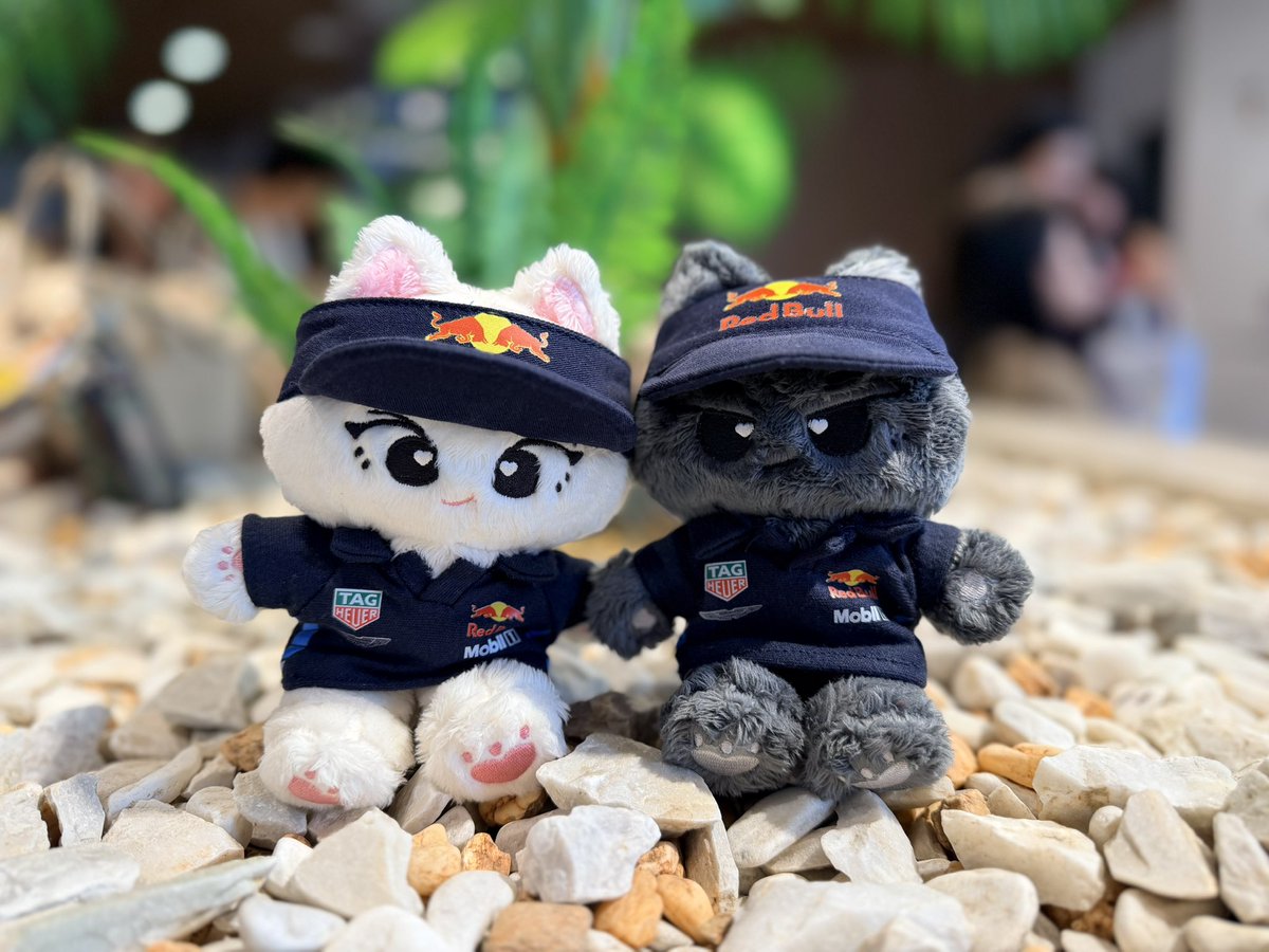 LUCKEY 🗝 (fan account 🐈‍⬛️🐈) tweet media