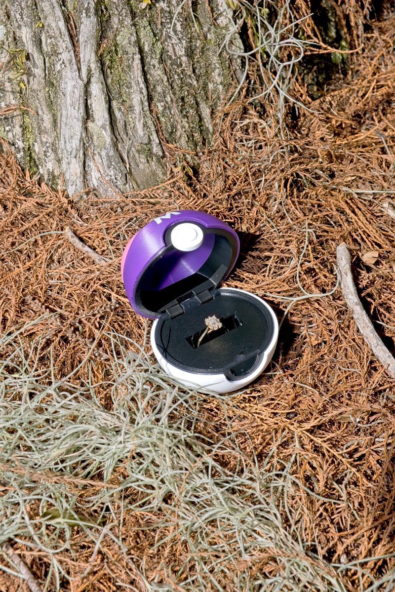 I used my one master ball!