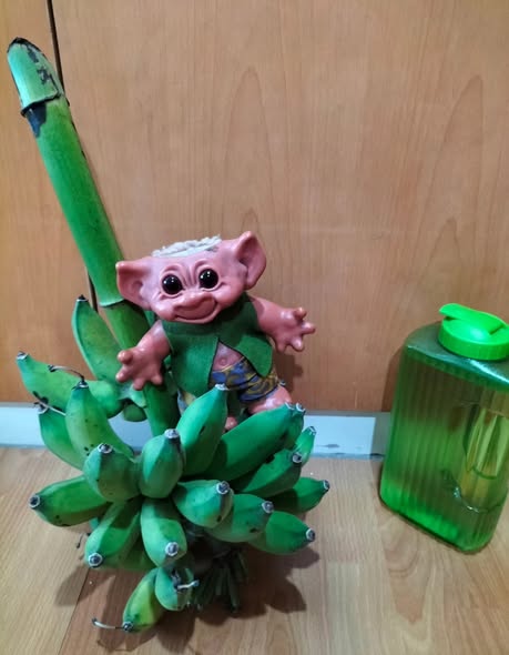 ChrisCsd1's tweet image. #Bangkok #Fruit #Bananas Cud &amp;amp; Milk, are 'going bananas' about this bunch!