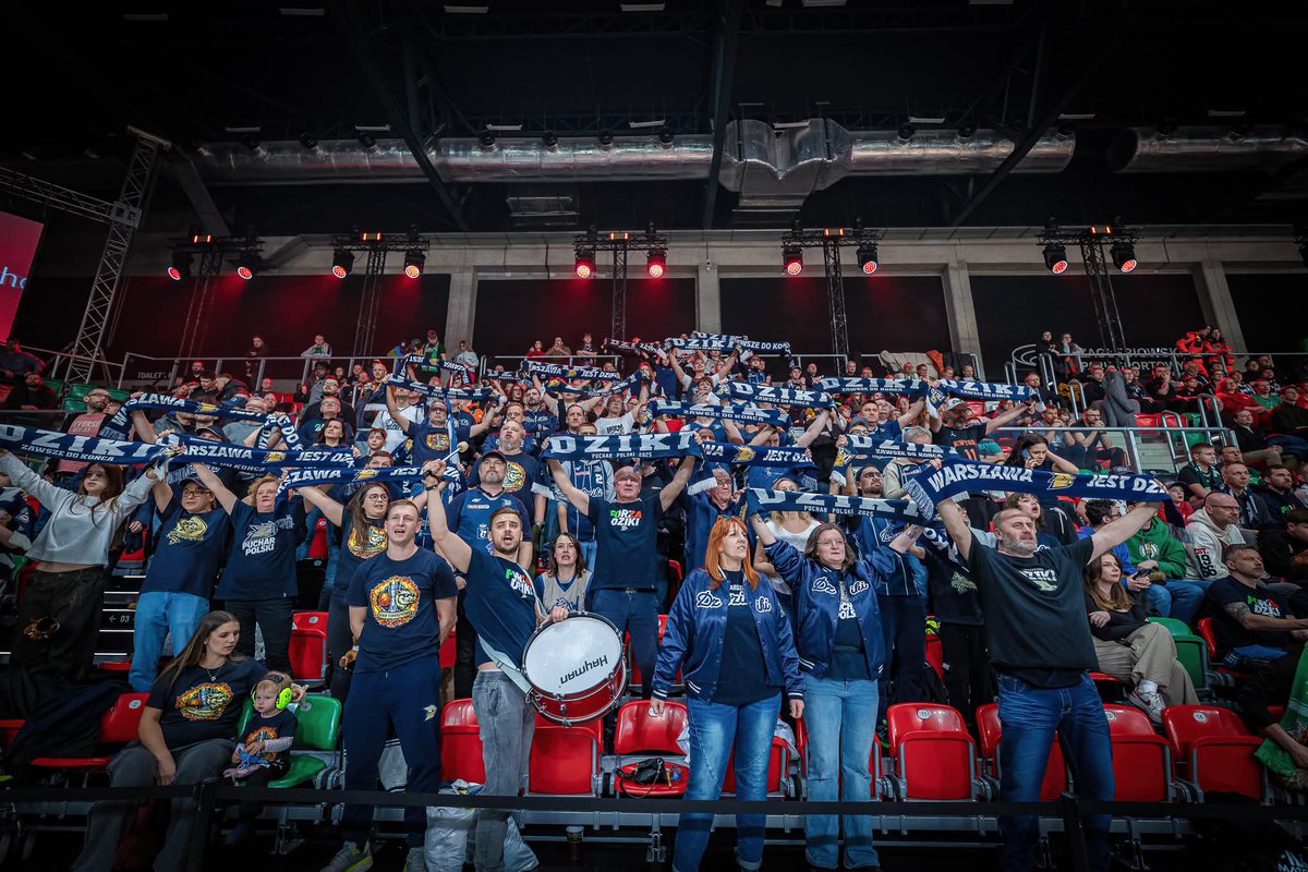 Dzikie Towarzystwo 🐗 tweet media