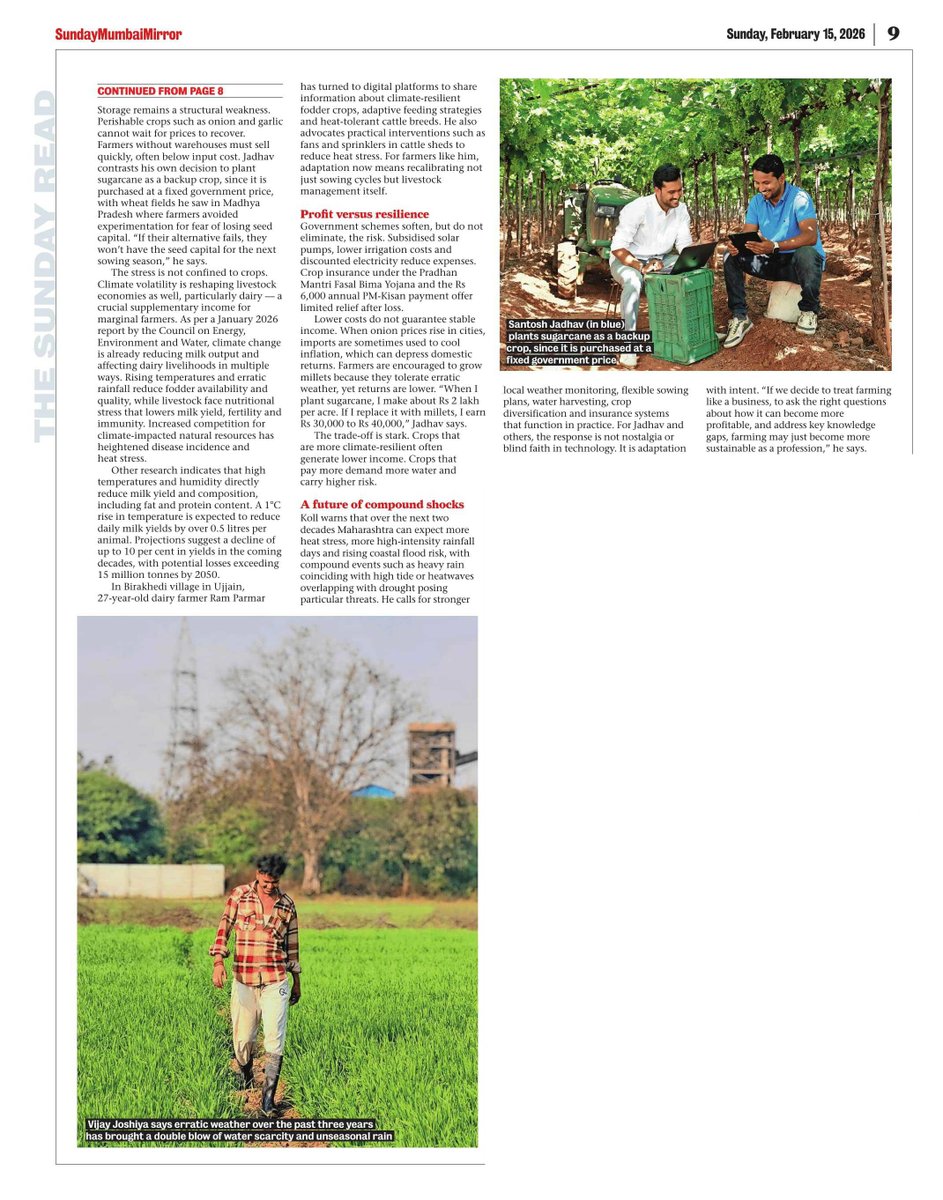 Roxy Koll ⛈ tweet media