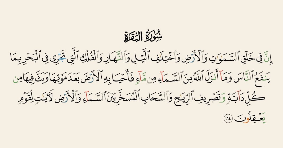 الشَّيماء 🪄 tweet media