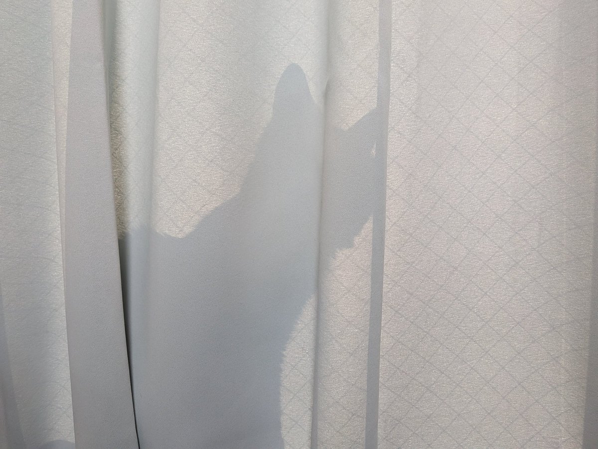 Derakovsky's tweet image. 