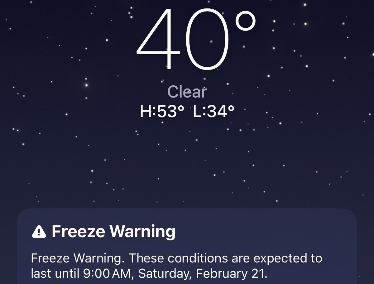 Check on your California friends. It’s “California” freezing…