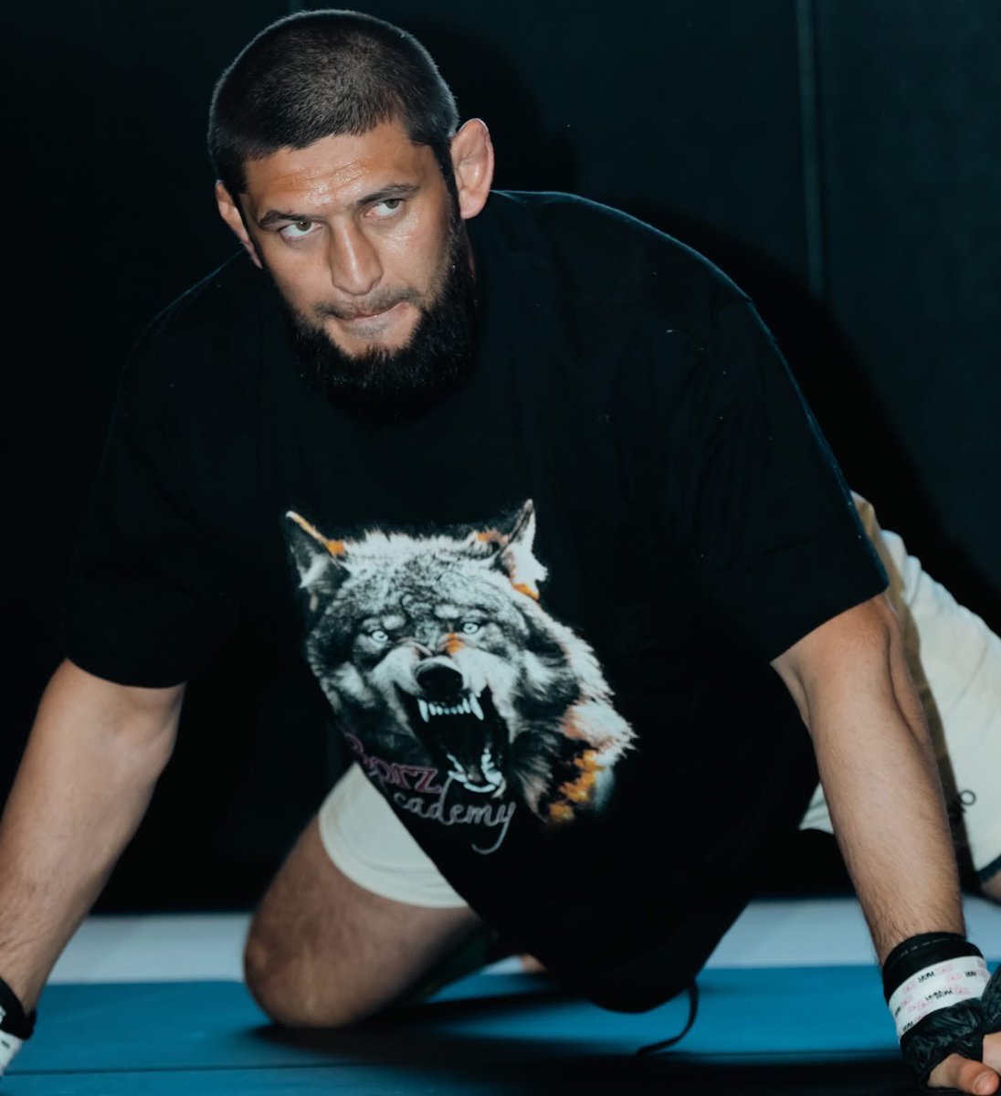 Santo Studio tweet media