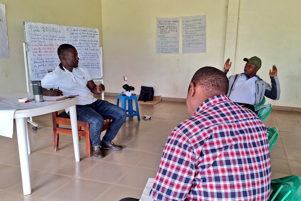 NARO_MUZARDI tweet media