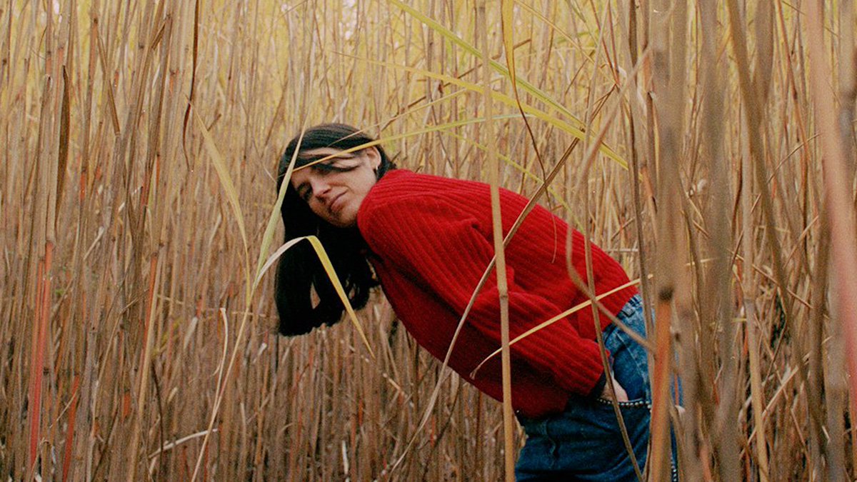 Paralelo3 tweet media