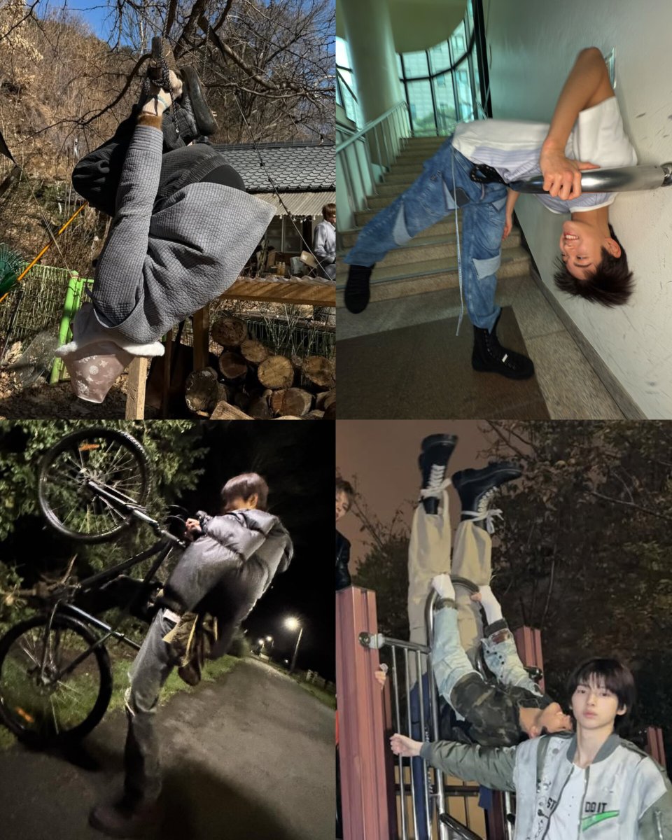 don't leave him alone without supervision