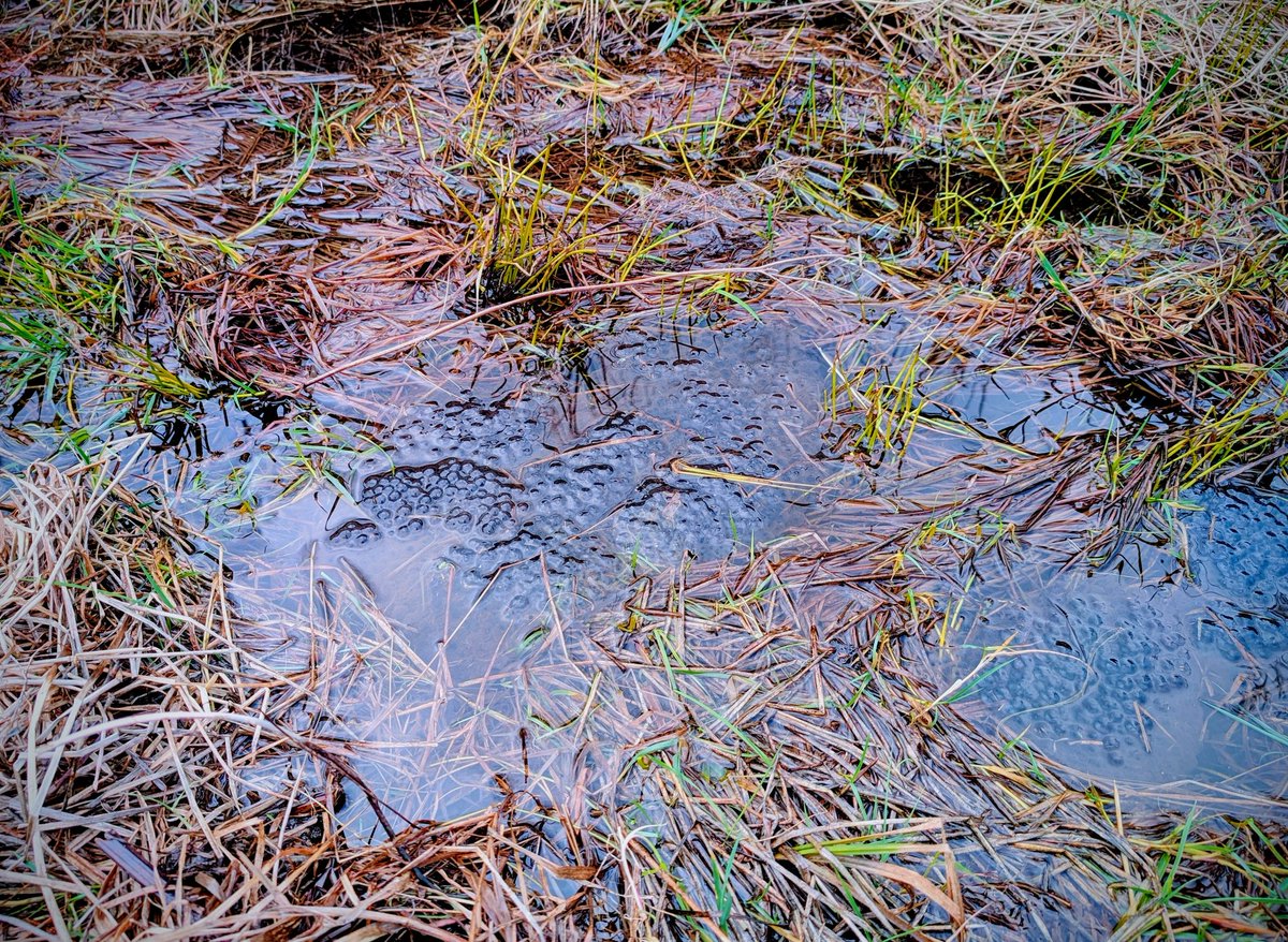 Anne Kelly ⛔NO DMs⛔ unless I know or follow you. tweet media