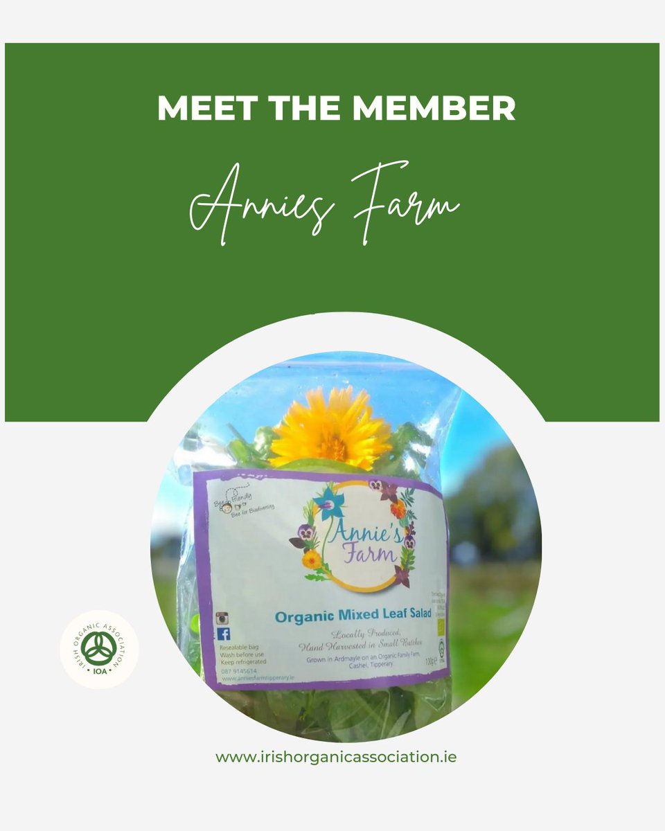 IrishOrganicA's tweet photo. Meet the Member @annies_farm ! She proudly supplies premium, freshly harvested organic salads, vegetables, herbs, &amp; edible flowers to hotels, restaurants, cafés, &amp; caterers across Tipperary &amp; Dublin 🥕🥔🫜 https://t.co/HSpwPJWNzB