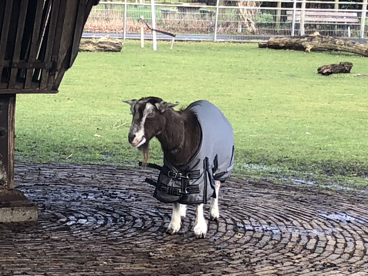 Voor Sjonnie blijft het nog jasjesweer.