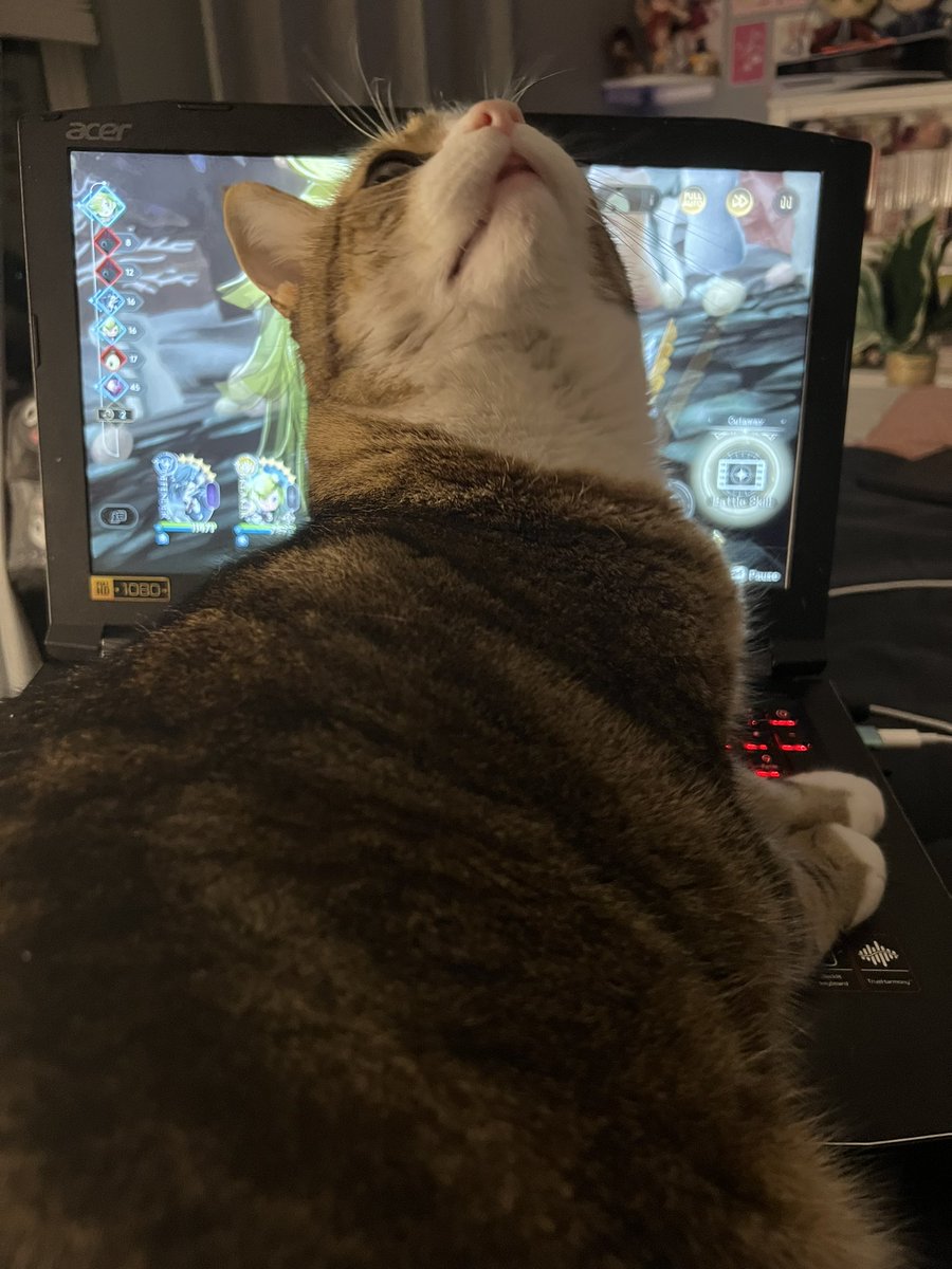 SnowTorch's tweet image. PLEASE