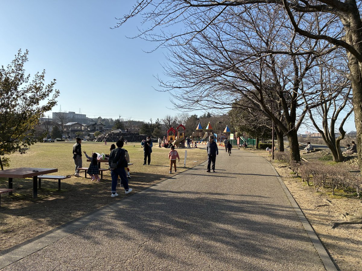 やすし　おすし tweet media