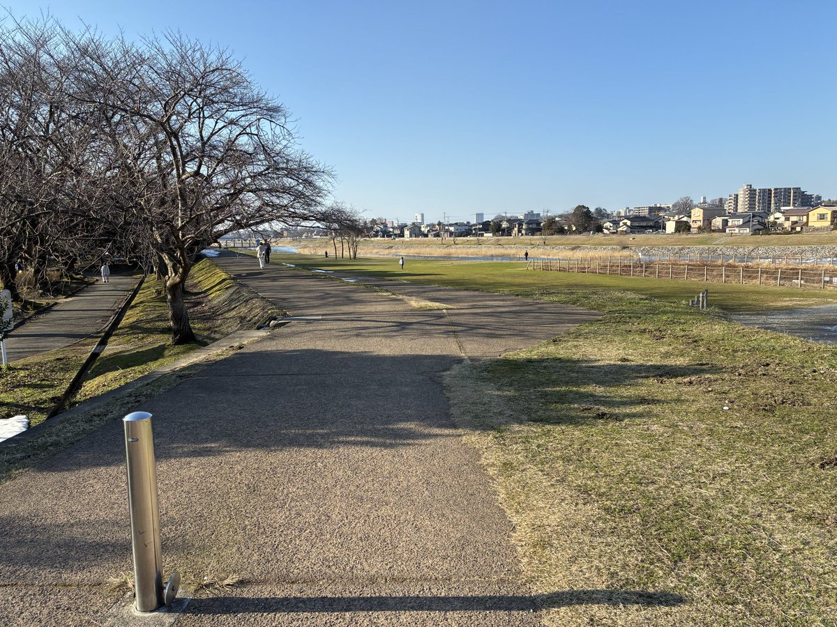 やすし　おすし tweet media