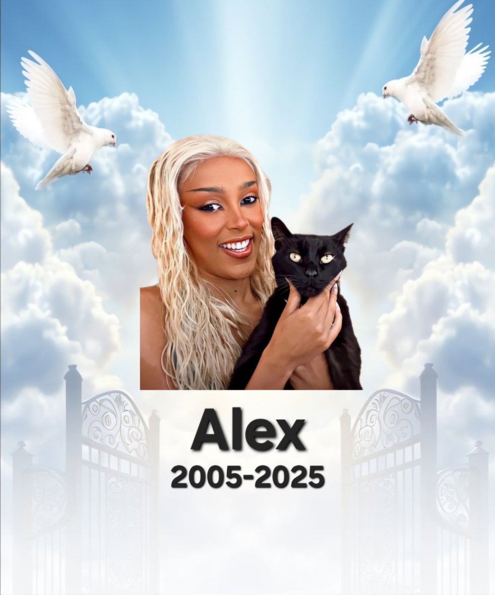 JailForKittenz tweet media