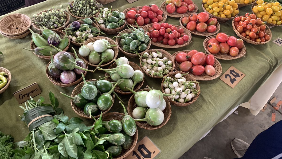 ถ้าอยู่เชียงใหม่หาซื้อพวกผัก organic  ผักสลัด, ผักตามฤดูกาล ที่ชาวบ้านปลูกเองราคาไม่แพง ก็มาซื้อที่ jing jai market 🫜🥦🥕แนะนำมาเช้า 6 โมงคนไม่เยอะ เดินเลือกผักสนุกมากมีผักแปลกๆเยอะเลยค่ะราคาไม่แรงด้วย 🫶🏻