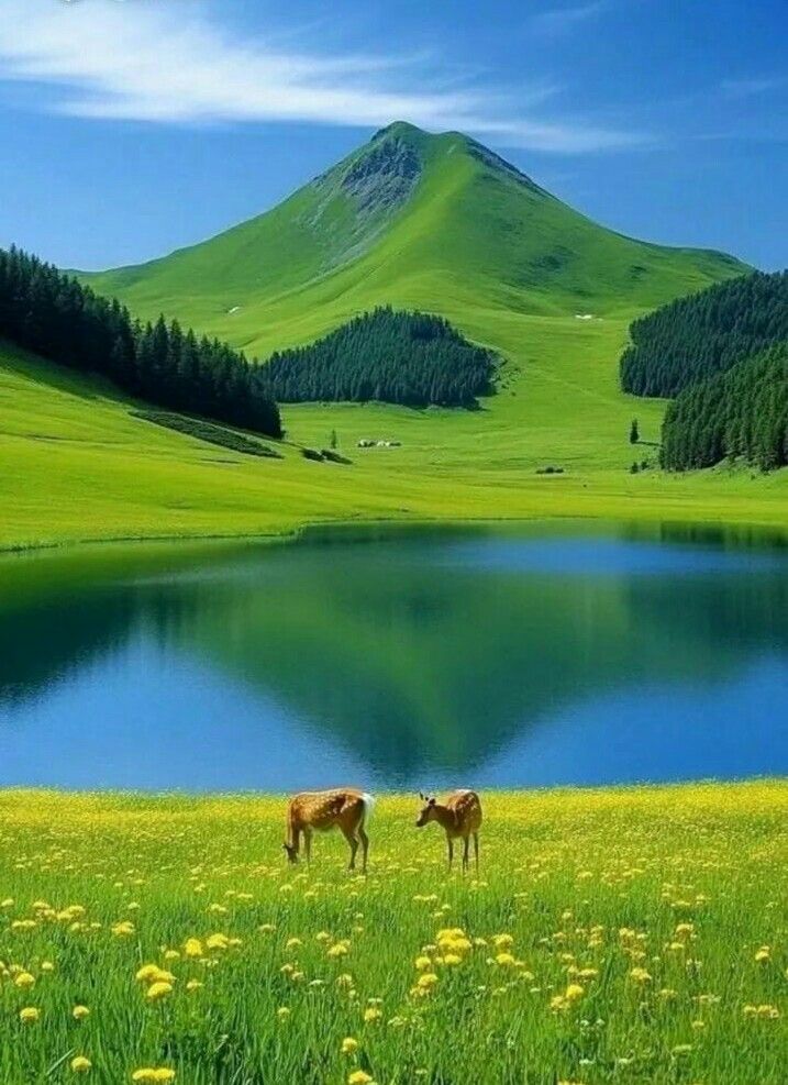 Wishing everyone a relaxing and fun weekend! 💚