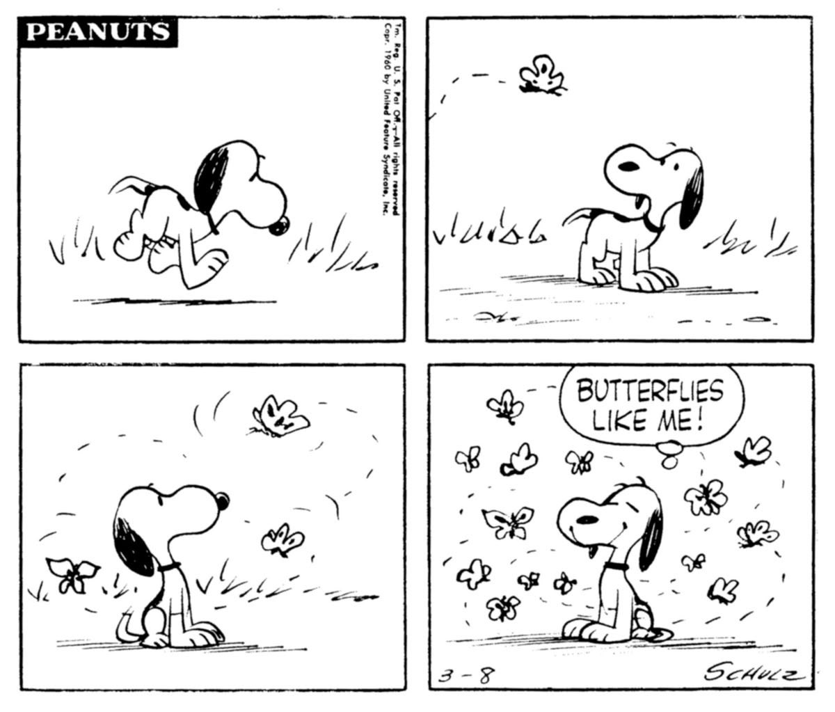 Daily Snoopy (@dailysnoopys) on Twitter photo 