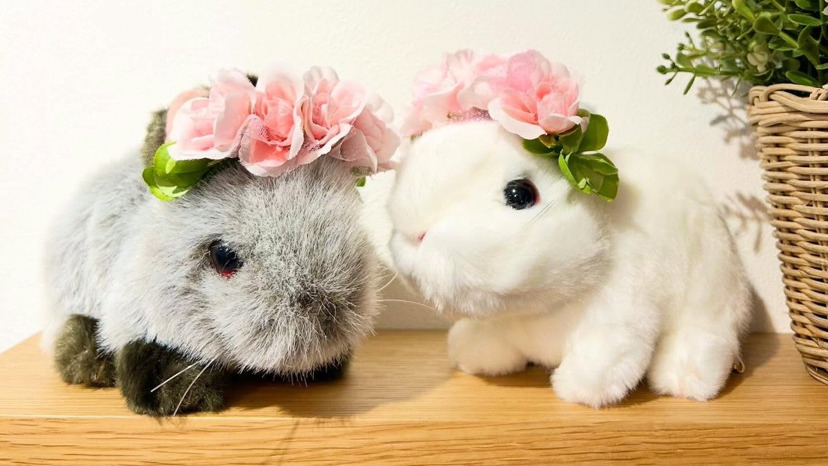 corolle de marronさんの素敵なうさぎさん用の花かんむりが届きました