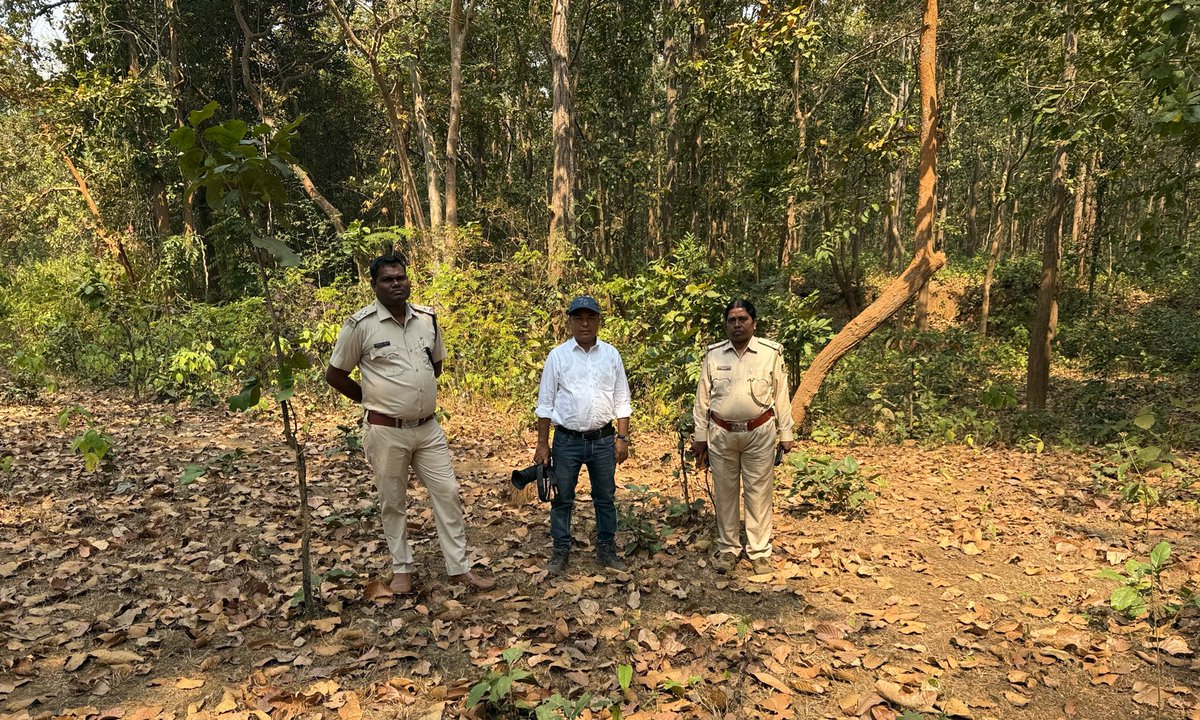 BiotechSanjeet's tweet photo. Site selection, #meadow development, discussion on primary and secondary food of #wildlife, #palatable native #grass, #sedges and more interesting on the medicinal agents of #wildlife in Telkoi Range, #Keonjhar Forest Division, Odisha.
#keonjhar #Odisha #grass #wildlife #forest #palatable #native #meadow #biodiversity
@SDG2030 @SDG2AdvocacyHub @FAOSDGs @SDGaction @UN_SDG @SDGoals @ForestDeptt @PCCFWL_Odisha @pccfodisha @Ncscm_Moefcc @EnvironmentPib @moefcc @Prem_CWLWOdisha @CMO_Odisha @MohanMOdisha @GaneshRamBJP @PMOIndia