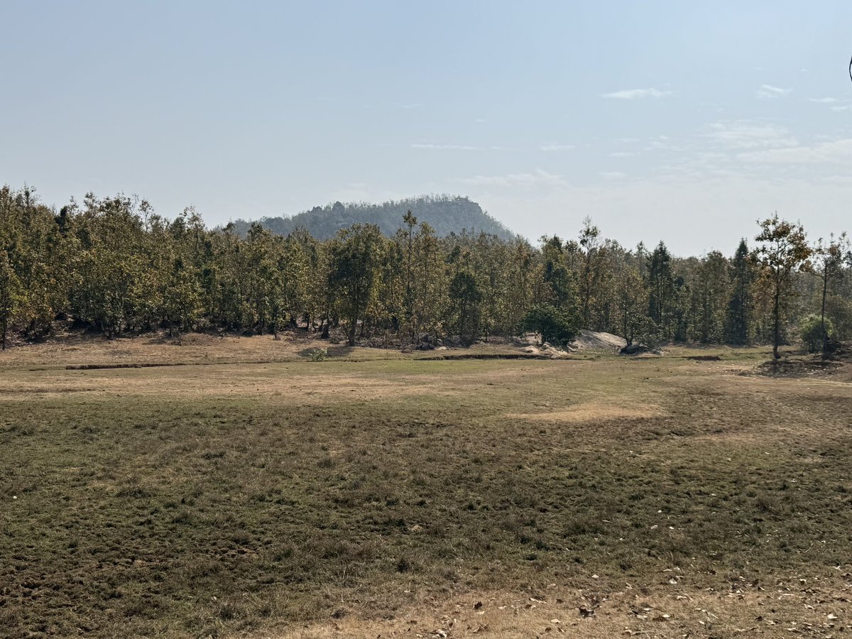 BiotechSanjeet's tweet photo. Site selection, #meadow development, discussion on primary and secondary food of #wildlife, #palatable native #grass, #sedges and more interesting on the medicinal agents of #wildlife in Telkoi Range, #Keonjhar Forest Division, Odisha.
#keonjhar #Odisha #grass #wildlife #forest #palatable #native #meadow #biodiversity
@SDG2030 @SDG2AdvocacyHub @FAOSDGs @SDGaction @UN_SDG @SDGoals @ForestDeptt @PCCFWL_Odisha @pccfodisha @Ncscm_Moefcc @EnvironmentPib @moefcc @Prem_CWLWOdisha @CMO_Odisha @MohanMOdisha @GaneshRamBJP @PMOIndia