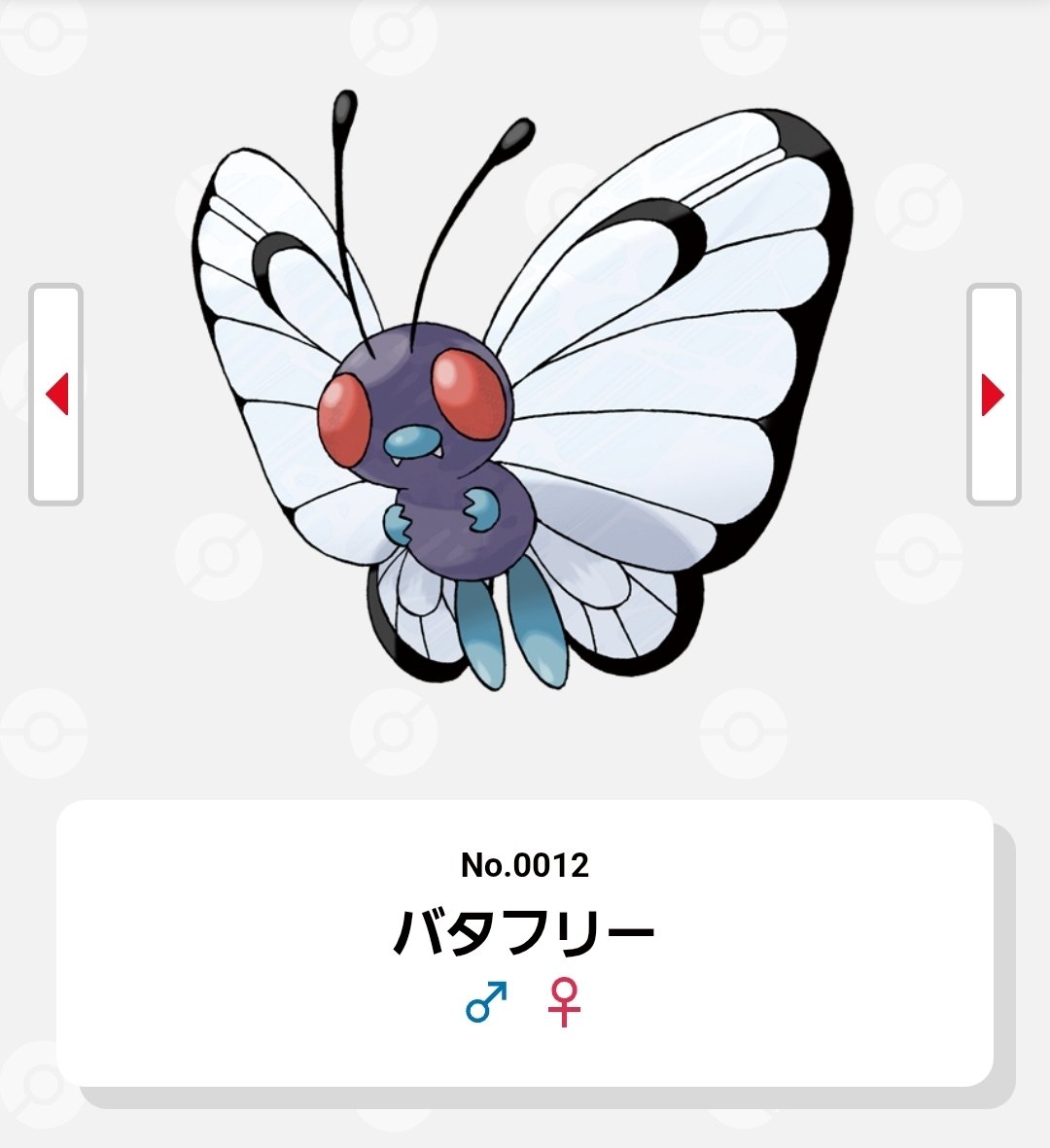 バタフリーちゃん？？？？ しばらく見ない間にご立派になられましたね