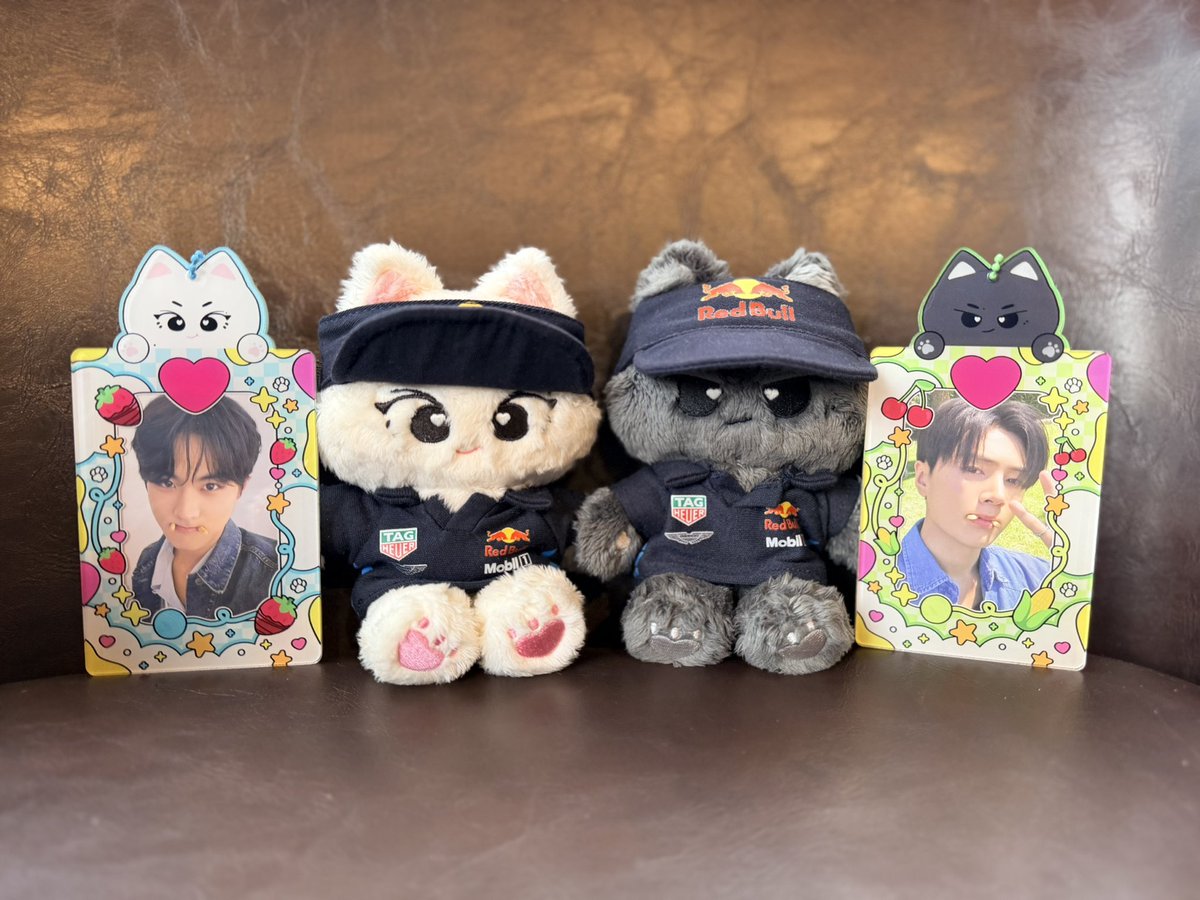 𝓒𝓸𝓶𝓲𝓷𝓰 𝓼𝓸𝓸𝓷 🐈‍⬛🐈✨#Heartcats