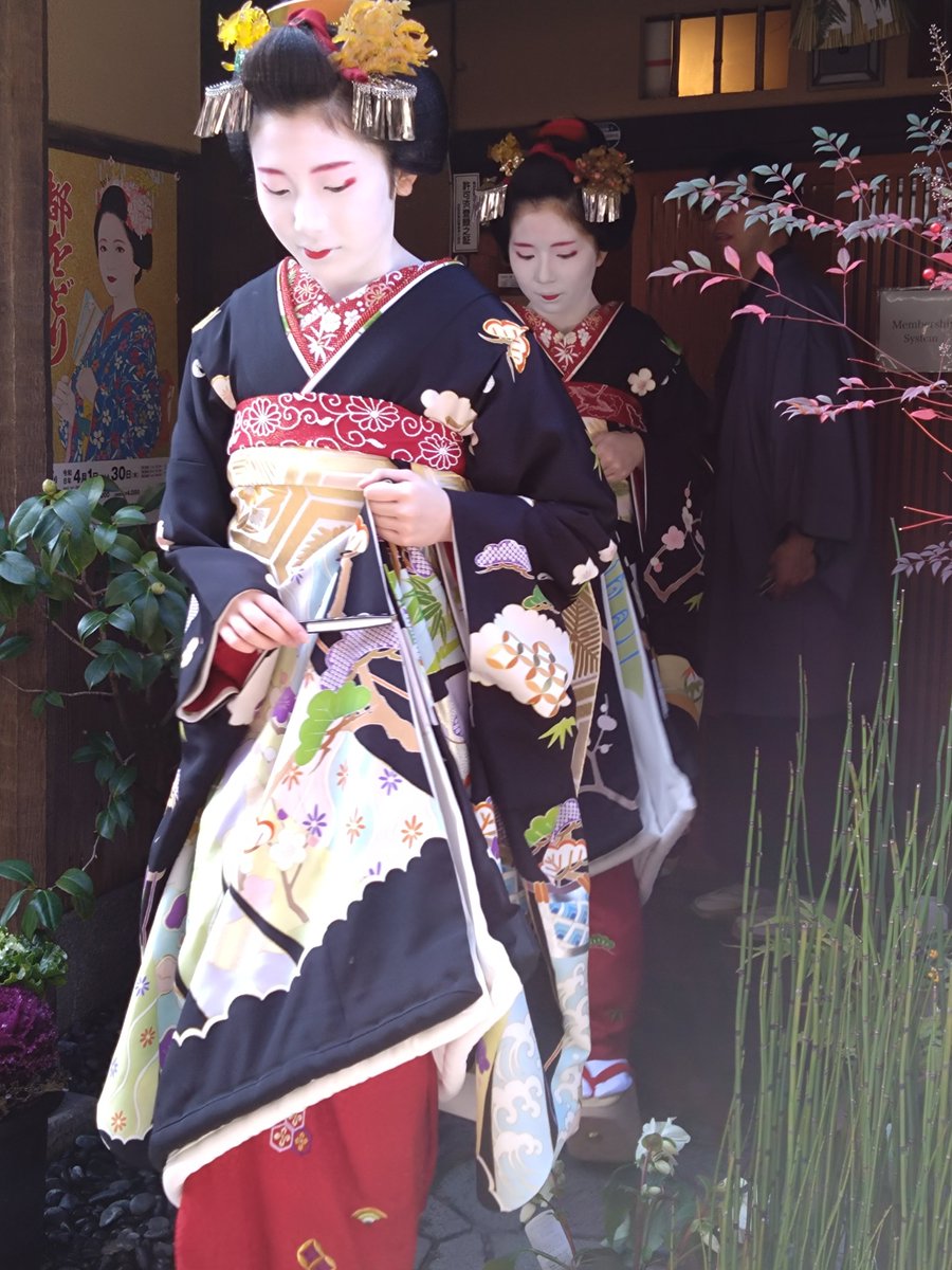 Geiko&Maikonews (@GeikoMaiko) / Posts / X