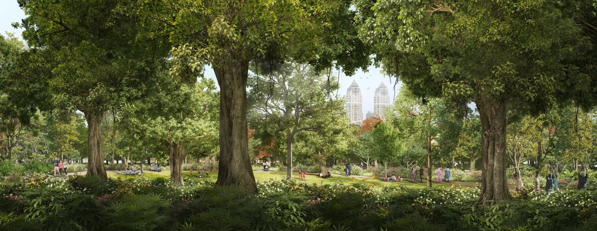 Mumbai Coastal Forest tweet media