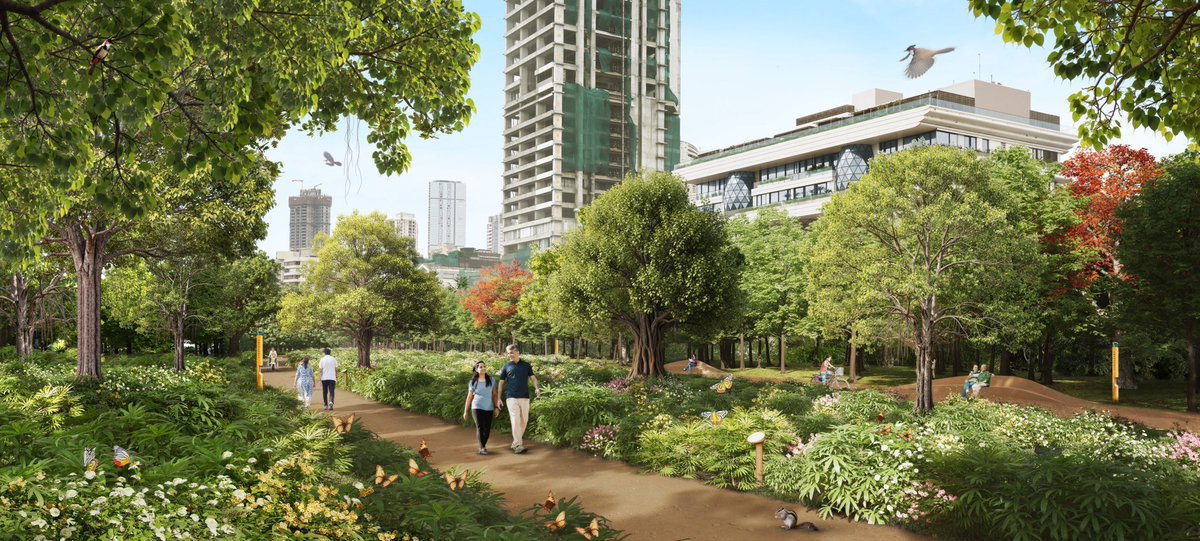 Mumbai Coastal Forest tweet media