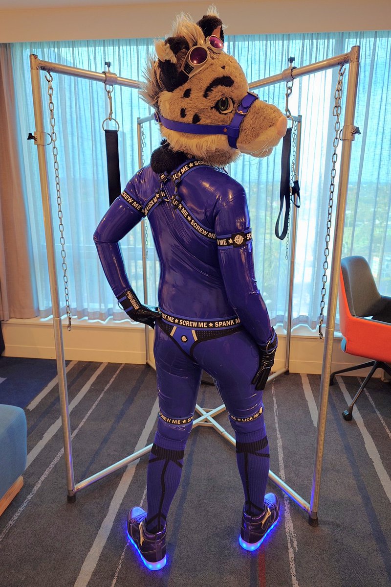 Kamadan Uncia @ FurDU! tweet media