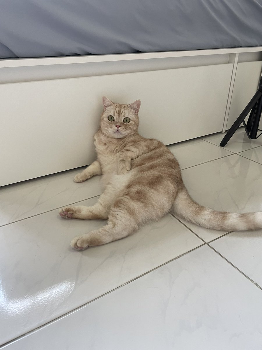 ˚◞ mwm ♡ tweet media