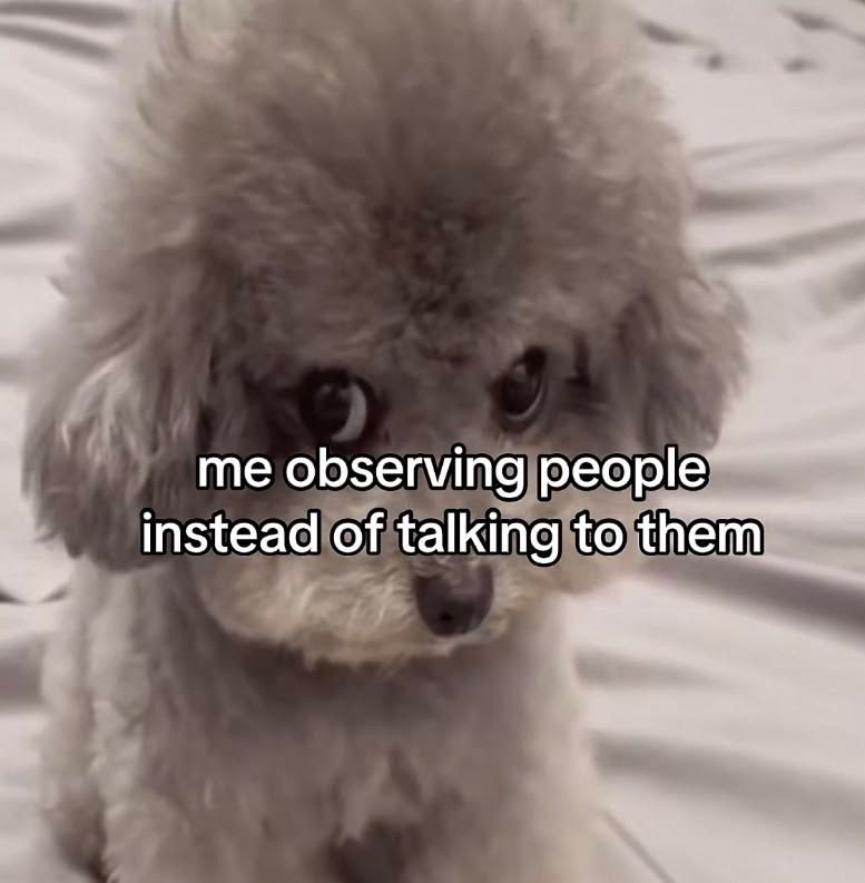 ADHDForReal's tweet image. 