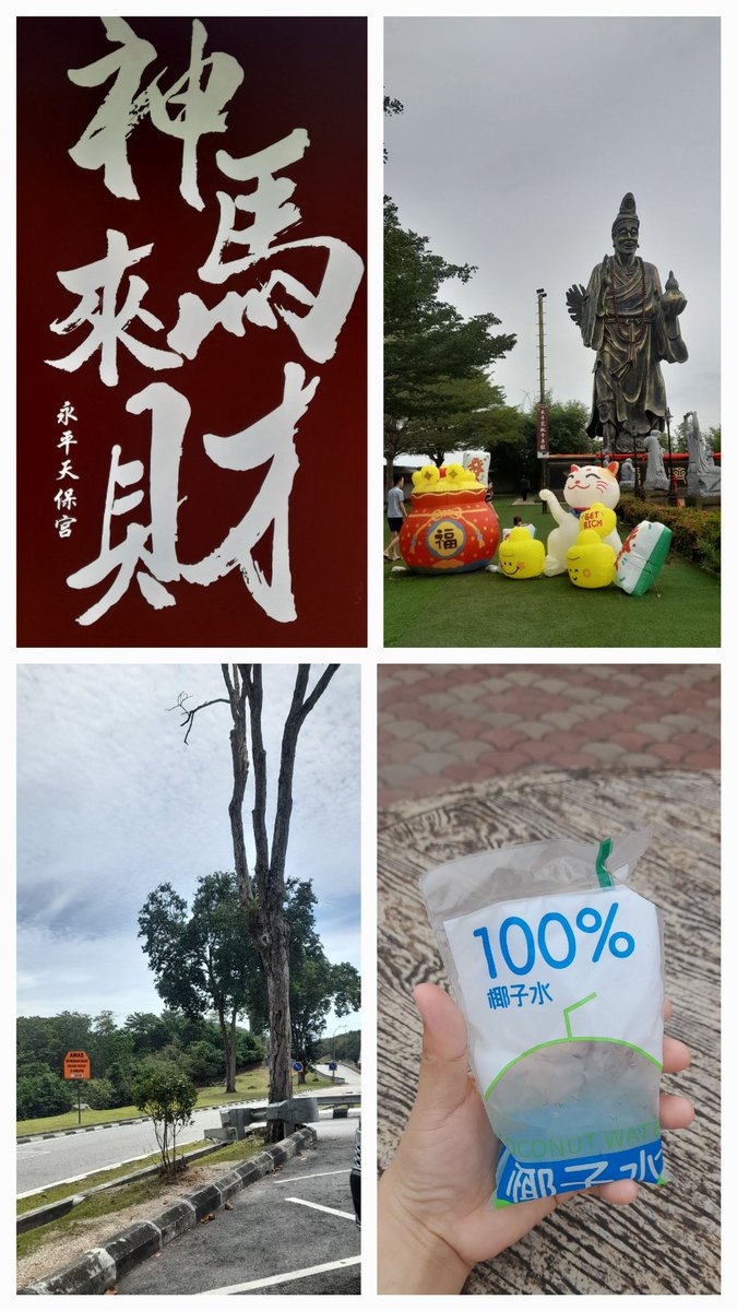 AnotFreq's tweet photo. 年初四，招财猫与我，拍照的角度拿捏不好得时候就会有胖胖的脸，其实我与那可爱脸有几分相似，哈哈(∩_∩) https://t.co/0ZNQPbpjNE