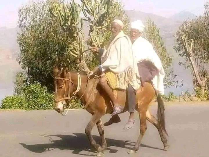 Behiwot Tilahun🇪🇹 በህይወት ጥላሁን🇪🇹 tweet media