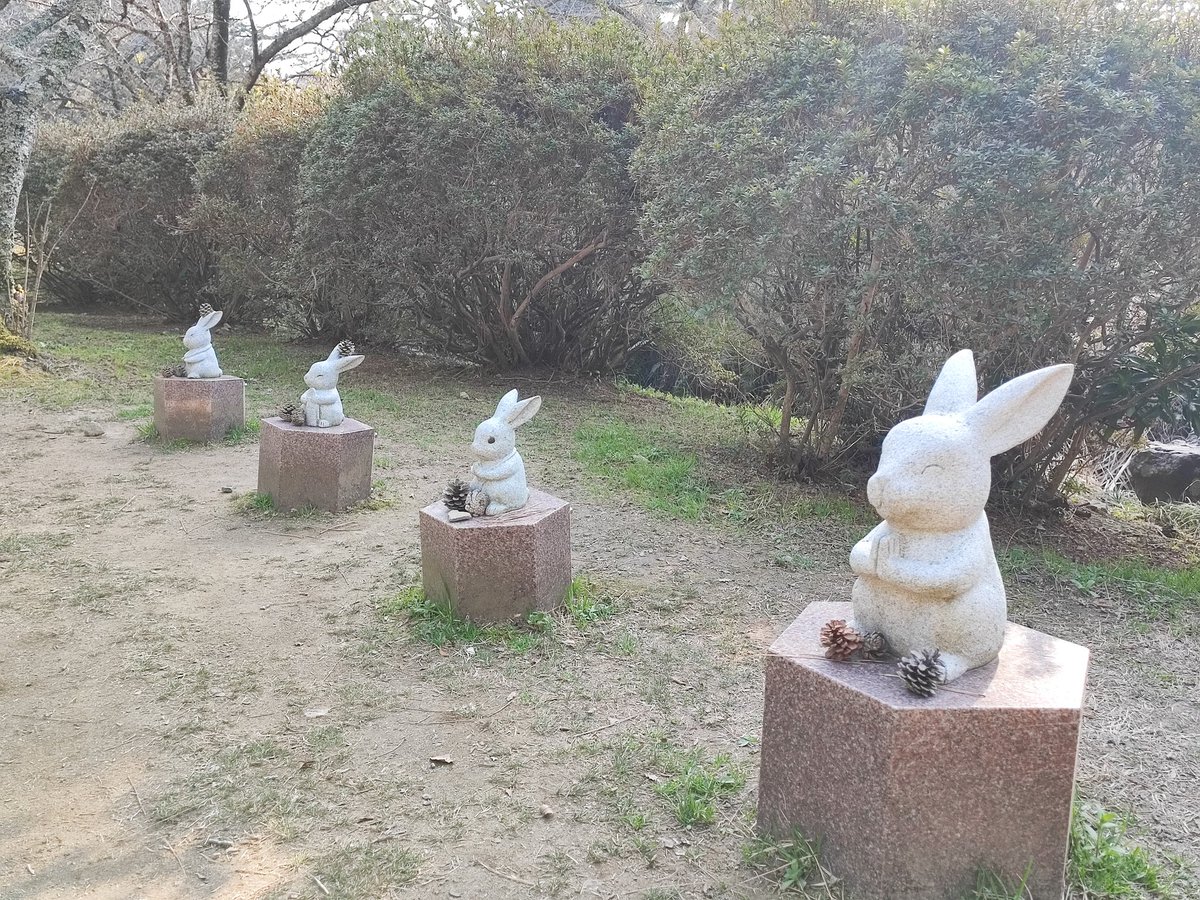 出雲大社はうさぎの石像だらけだ🐰