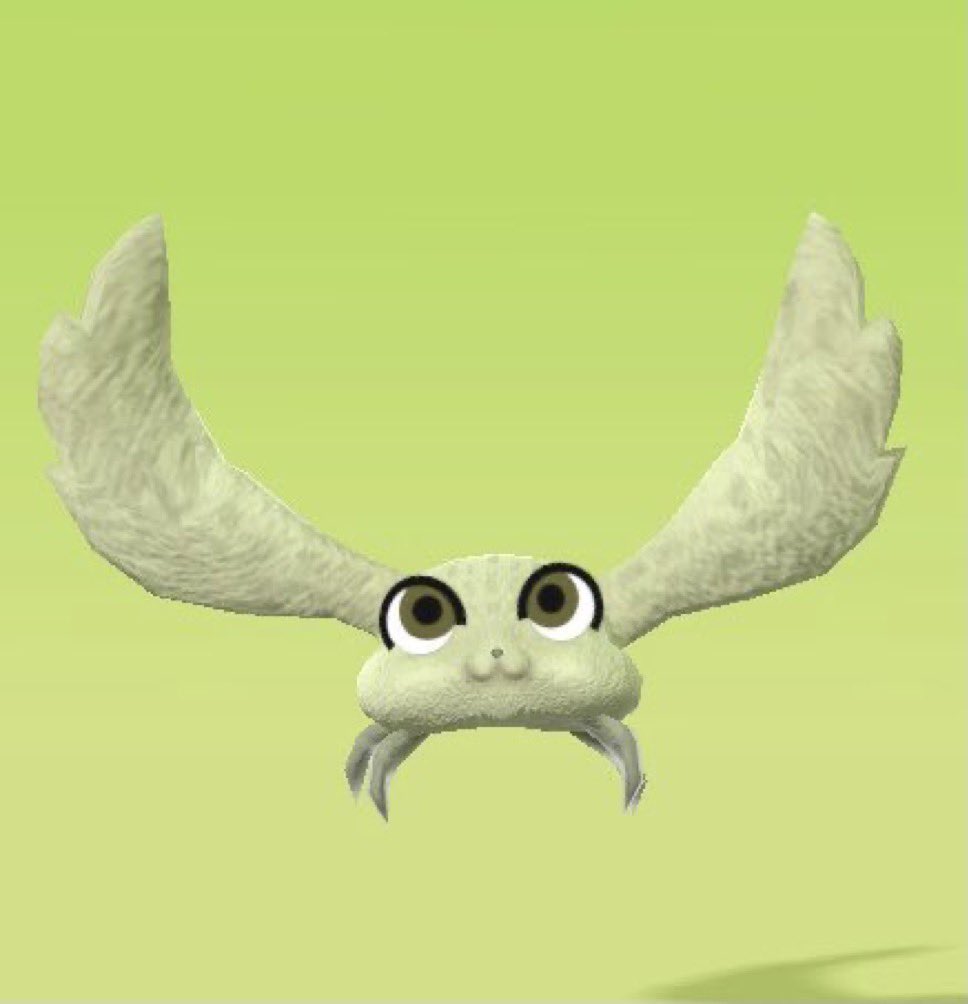 雨音🦋☂️ tweet media