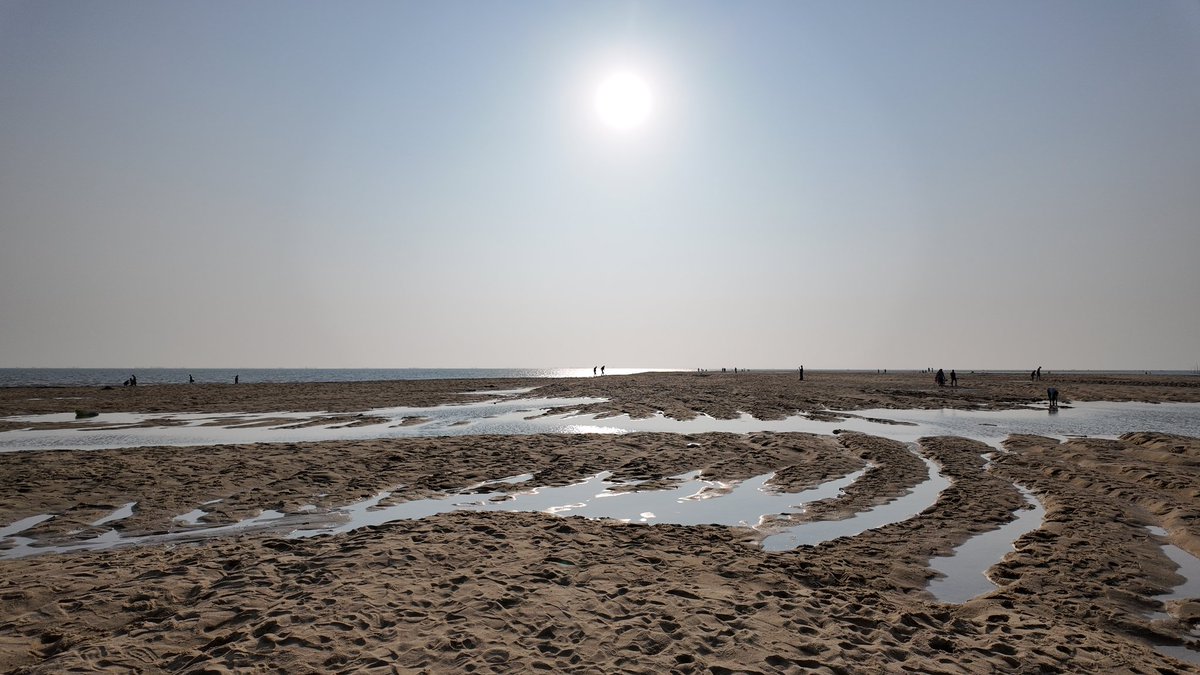 Miss_Cat tweet media