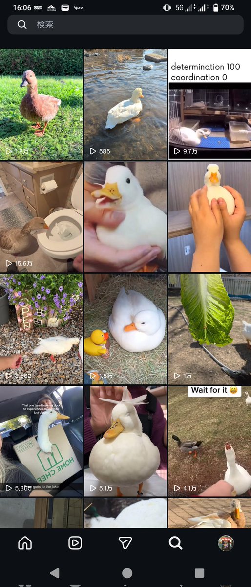 アヒル様どうか私を助けてください