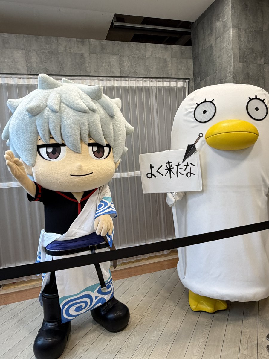 会えたー！！！

「銀さんハナほじってー！」って言ったら鼻ほじってくれて、鼻くそ飛ばしてきて、その後エリーに蹴られてた🤣

 #ぎんたまぜんこくあんぎゃ