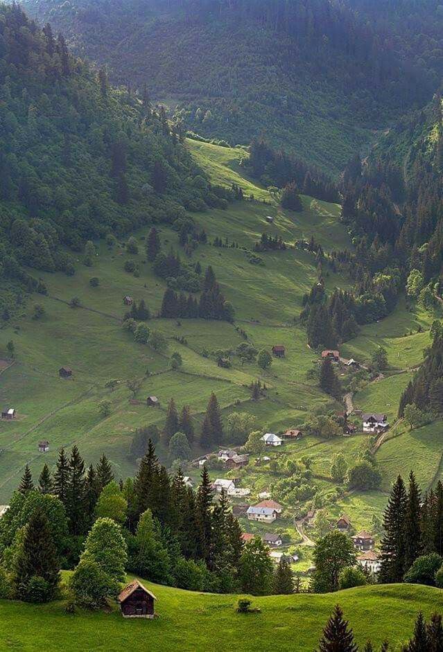 TezaureRo's tweet photo. Vatra Dornei, Romania 🇷🇴 https://t.co/8eSCkRfaiy