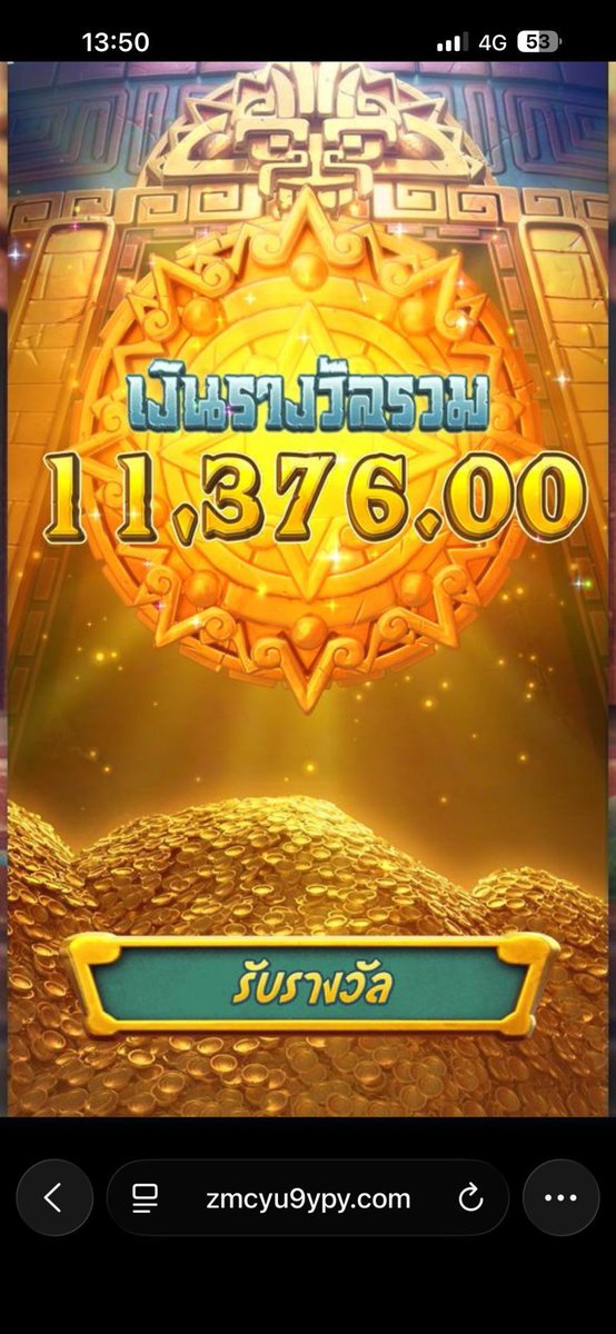 วัว ‘พารวย tweet media