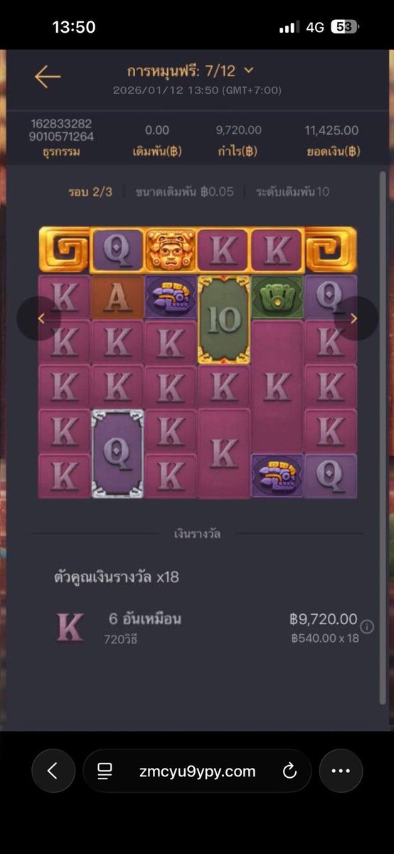วัว ‘พารวย tweet media